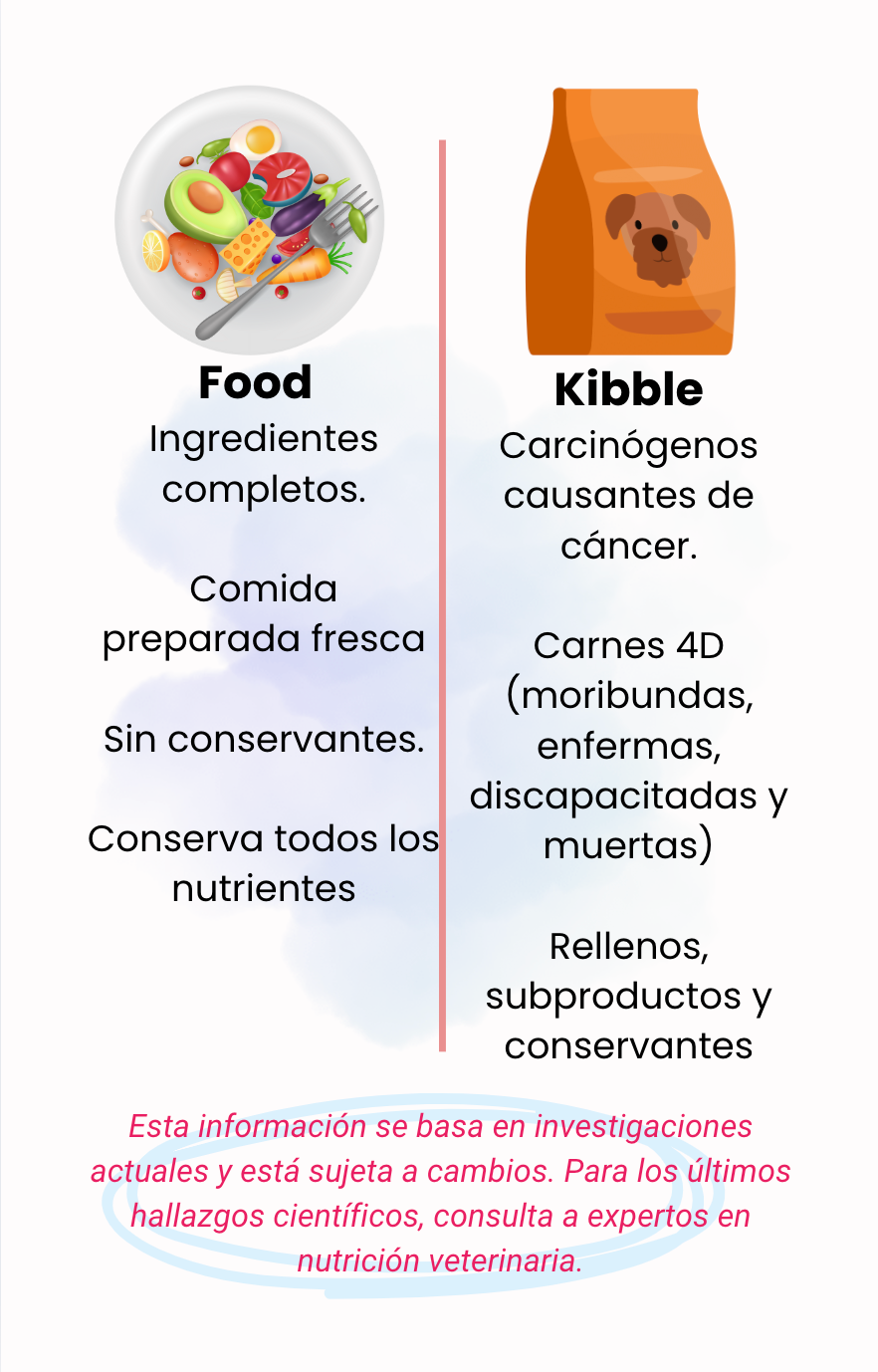 La Guia de Red para Colas Felices y Comida Fresca